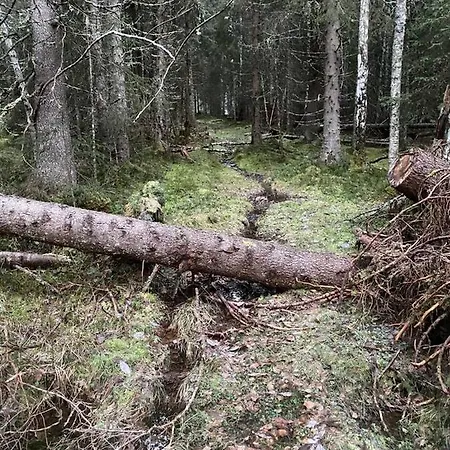Fjellstad Steinkjer