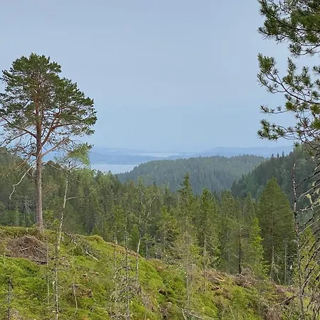 Fjellstad Hostel