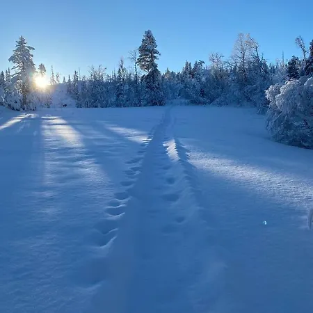 Fjellstad Hostel Steinkjer
