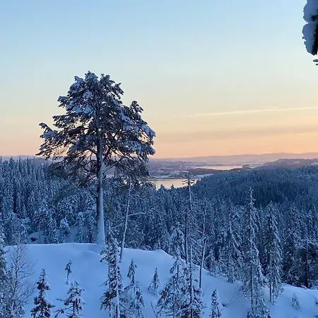 Fjellstad *