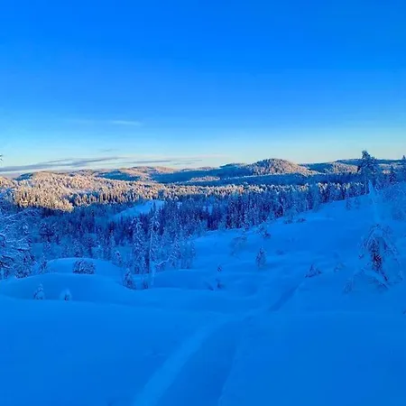 Fjellstad Hostel Steinkjer